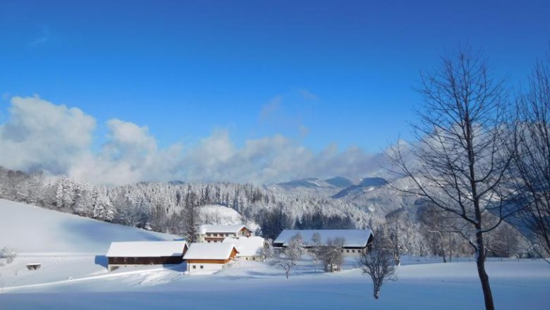 Winter Bauernhof Köhr, © Bauernhof Köhr Winter Bauernhof Köhr, © Bauernhof Köhr