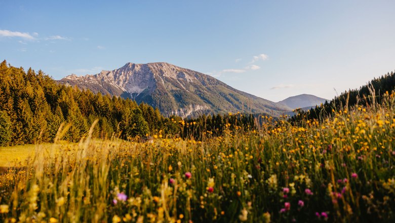 Nestelberg 17, © Sabine Wieser Nestelberg 17, © Sabine Wieser