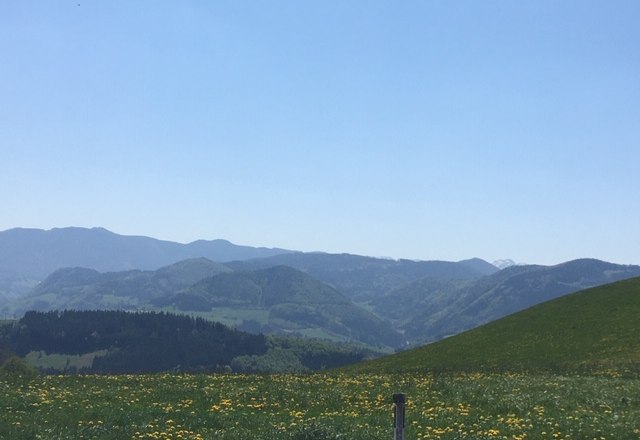 View of the Mostviertel, © Monika Stock View of the Mostviertel, © Monika Stock