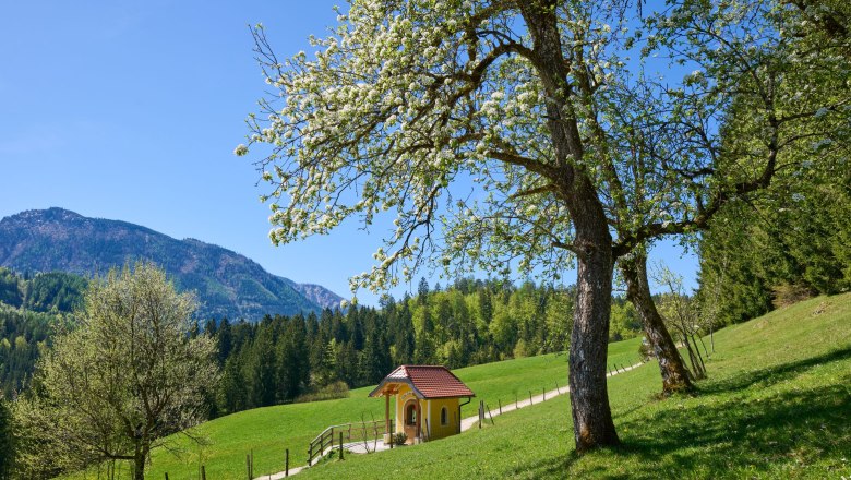 Traumhafte Aussicht mit Kapelle, © Grasberger Eine kleine Kapelle steht auf einer grünen Wiese, umgeben von blühenden Bäumen und Bergen im Hintergrund.