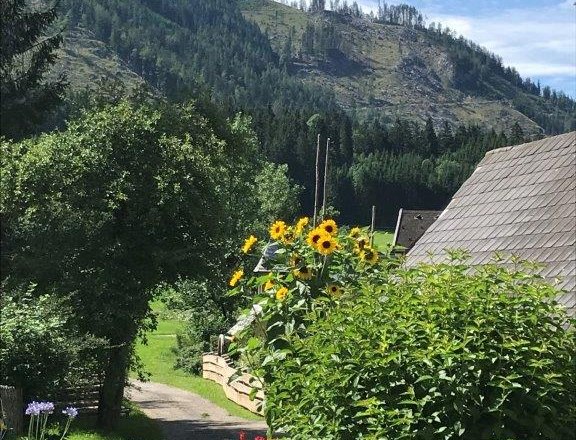 Farm view, © Plachl Farm view, © Plachl