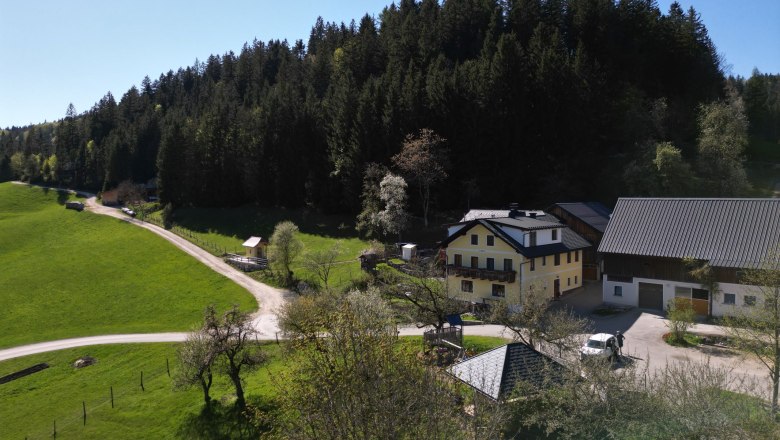 1-house, © grasberger Rural scene with a yellow house and barns, surrounded by green meadows and woods.