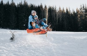 Fun in the snow, © Demolsky Fun in the snow, © Demolsky