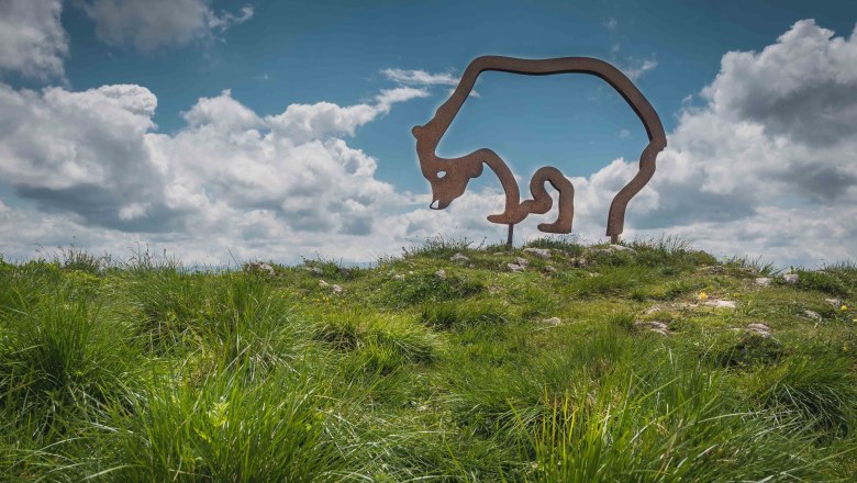 Bär, © Familie Demolsky Bär, © Familie Demolsky