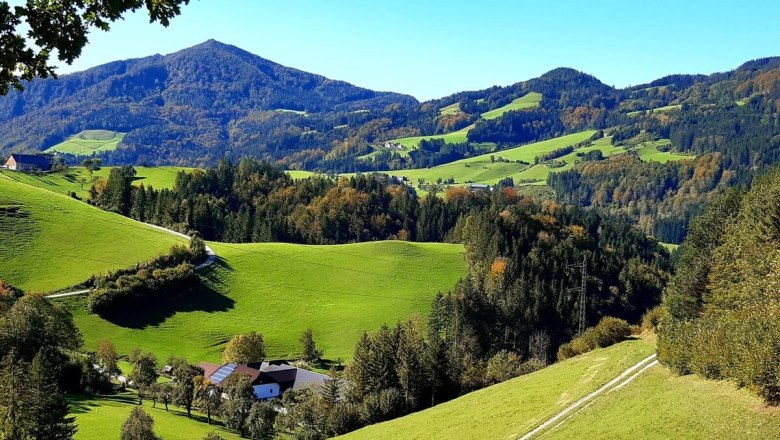 Urlaub am Bauernhof-Oberrehau, © Andrea Kronsteiner Urlaub am Bauernhof-Oberrehau, © Andrea Kronsteiner