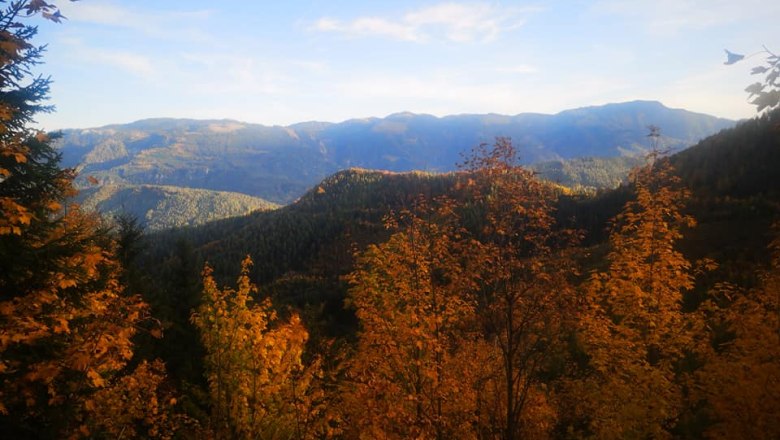 the Ybbstal Alps, © Monika Stock the Ybbstal Alps, © Monika Stock