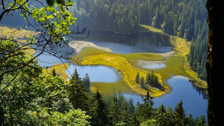 View of the Obersee, © Felix Helmel View of the Obersee, © Felix Helmel