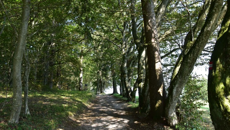 Das Sandlehen im Sommer, © Michael Pichler Das Sandlehen im Sommer, © Michael Pichler