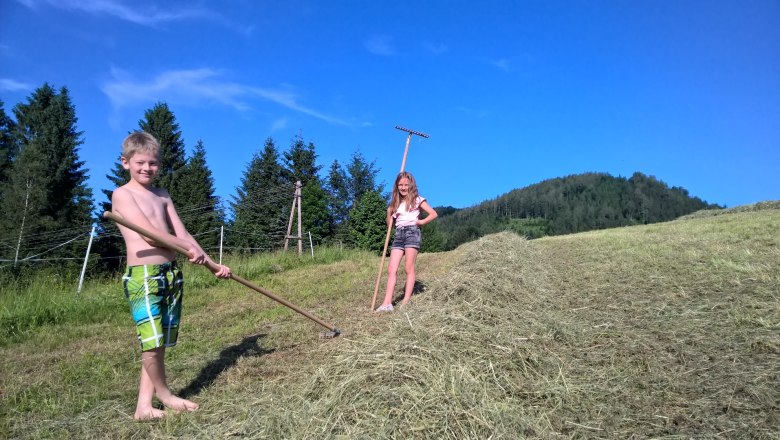 Hay harvest at the Schlögelhofers, © Heike und Arthur Schlögelhofer Hay harvest at the Schlögelhofers, © Heike und Arthur Schlögelhofer