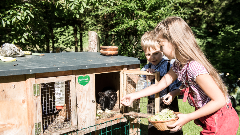 Gasthof "Zum Hammer", © Wolfgang Wutzl Gasthof "Zum Hammer", © Wolfgang Wutzl