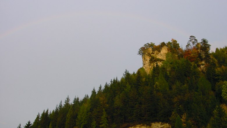 Falcon's nest, © Simone Wagner Falcon's nest, © Simone Wagner