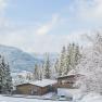 Beekeeping in a wintry landscape, © Fahrnberger Ludwig Beekeeping in a wintry landscape, © Fahrnberger Ludwig