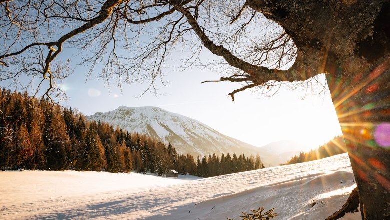 Nestelberg 17, © Sabine Wieser Nestelberg 17, © Sabine Wieser