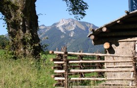 Pre-Alps, © Naturpark Eisenwurzen Mountain landscape with wooden fence and tree in the foreground.