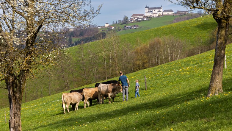 Organic farm Zillach, © Theo Kust Organic farm Zillach, © Theo Kust