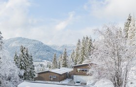 Beekeeping in a wintry landscape, © Fahrnberger Ludwig Beekeeping in a wintry landscape, © Fahrnberger Ludwig