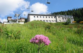 Ötscherschutzhaus in summer, © Ötscherschutzhaus, Karin Müller Ötscherschutzhaus in summer, © Ötscherschutzhaus, Karin Müller