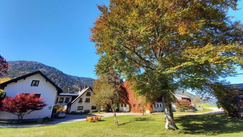 House Lassingbauer, © Karin Redlsteiner House Lassingbauer, © Karin Redlsteiner