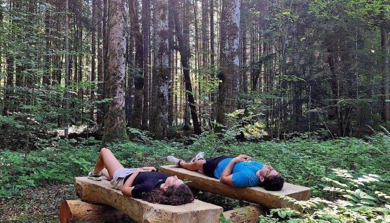 Forest bathing, © Karin Redlsteiner Forest bathing, © Karin Redlsteiner