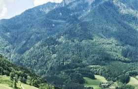 Blick vom Grenzberg, © Mostviertel Blick vom Grenzberg, © Mostviertel