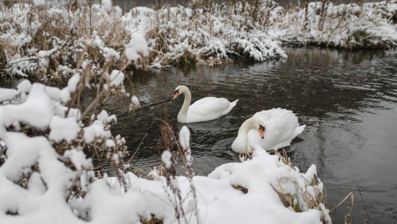 Kienberg forest, © Forst Kienberg Kienberg forest, © Forst Kienberg