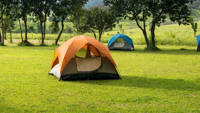 Camping bei deeprootadventures, © deeprootadventures Zelte auf einer grünen Wiese mit Bäumen im Hintergrund.