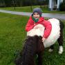 Horse, © Gabriele Danner Horse, © Gabriele Danner
