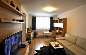 Ferienwohnungen Lobkowicz, © Ferienwohnungen Lobkowicz Modern eingerichtetes Wohnzimmer mit Sofa, Fernseher, Schreibtisch und Regalen.