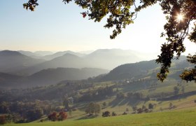 Am Panoramahöhenweg, © weinfranz.at Am Panoramahöhenweg, © weinfranz.at