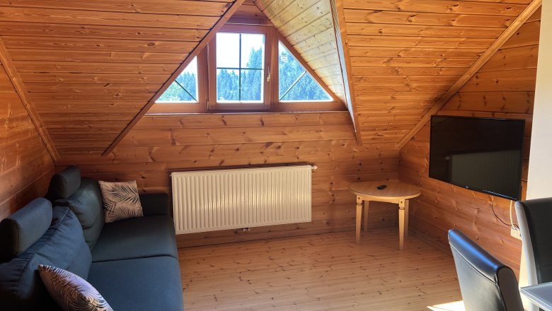 Ferienwohnung am Biohof Herdengl, © Ybbstaler Alpen_Karin Hager Gemütliches Wohnzimmer in einer Dachgeschosswohnung mit Holzverkleidung, Sofa, Fernseher und Dachfenster.