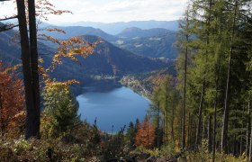 View of Lake Lunz, © TB Lunz am See View of Lake Lunz, © TB Lunz am See