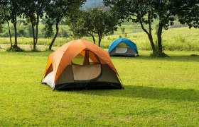 Camping bei deeprootadventures, © deeprootadventures Zelte auf einer grünen Wiese mit Bäumen im Hintergrund.