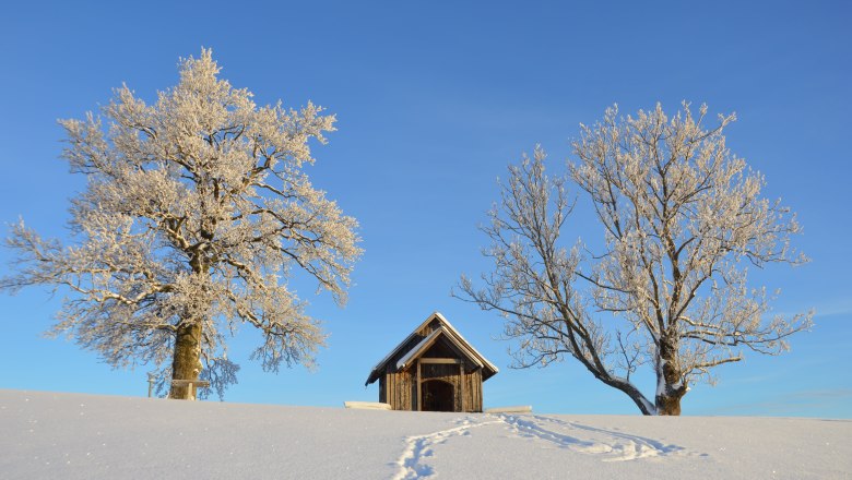 Bright blue sky in winter, © Gottfried & Rosina Wagner Bright blue sky in winter, © Gottfried & Rosina Wagner