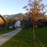 Access road, © Gabriele Danner Access road, © Gabriele Danner