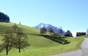 Blick auf Voralpe, © Mostviertel Blick auf Voralpe, © Mostviertel