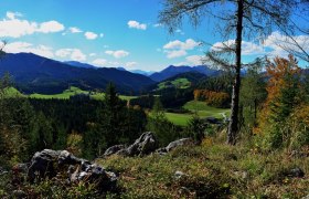 Panoramasteig Steinkogel Sonnstein, © (C) Heidi Zettel Panoramasteig Steinkogel Sonnstein, © (C) Heidi Zettel