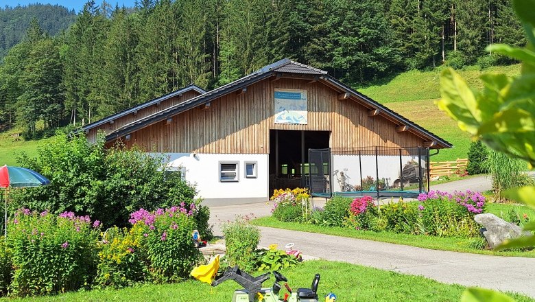Der Milchviehlaufstall, © Poidlbauer Der Milchviehlaufstall, © Poidlbauer