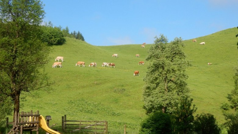 Urlaub am Bauernhof-Oberrehau, © Andrea Kronsteiner Urlaub am Bauernhof-Oberrehau, © Andrea Kronsteiner