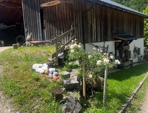 Being in the forest, © Ybbstaler Alpen Being in the forest, © Ybbstaler Alpen