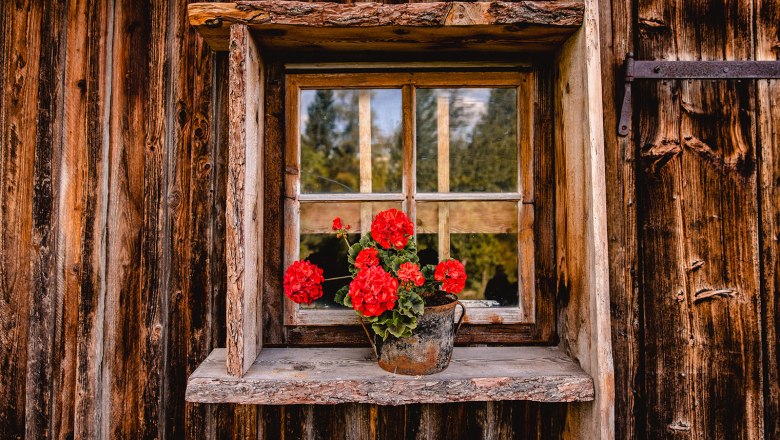 Nestelberg 17, © Sabine Wieser Nestelberg 17, © Sabine Wieser