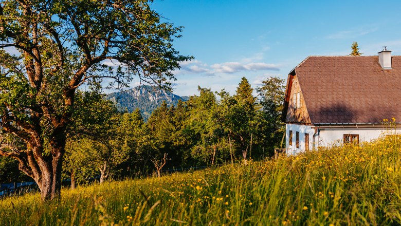 Nestelberg 17, © Sabine Wieser Nestelberg 17, © Sabine Wieser