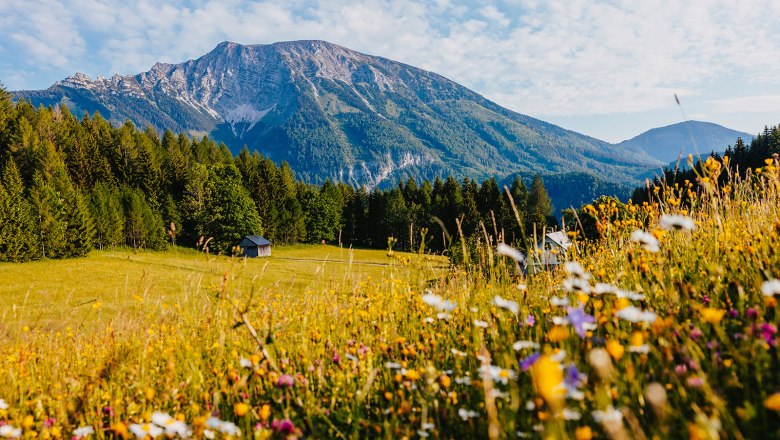 Nestelberg 17, © Sabine Wieser Nestelberg 17, © Sabine Wieser