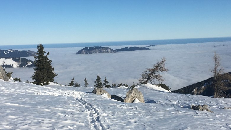 Winter in den Ybbstaler Alpen, © Monika Stock Winter in den Ybbstaler Alpen, © Monika Stock