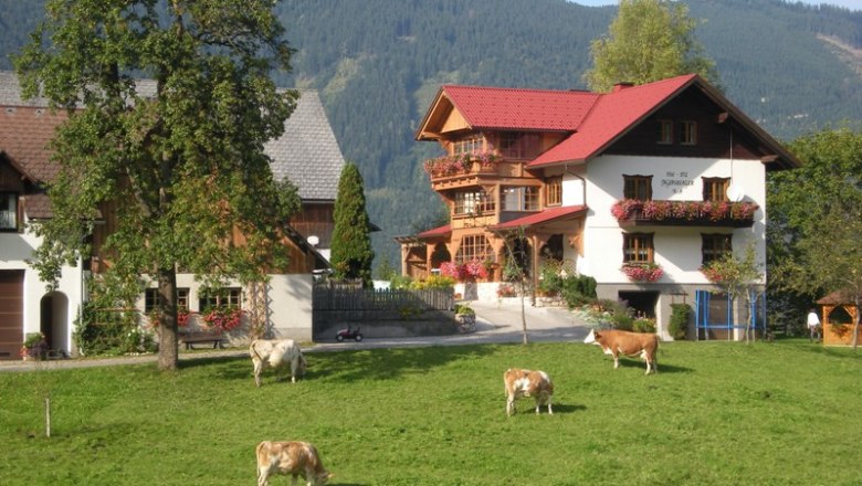Salcheck, © Fam. Jagersberger Farm with cows in a meadow in front of a traditional house in the Alps.