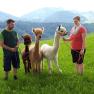 Hiking with the alpacas, © Urlaub am Bauernhof - Fam. Schweighuber Hiking with the alpacas, © Urlaub am Bauernhof - Fam. Schweighuber