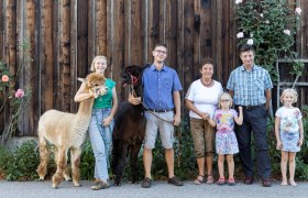 Sonnleiten Alpakas, © Theo Kust Sonnleiten Alpakas, © Theo Kust