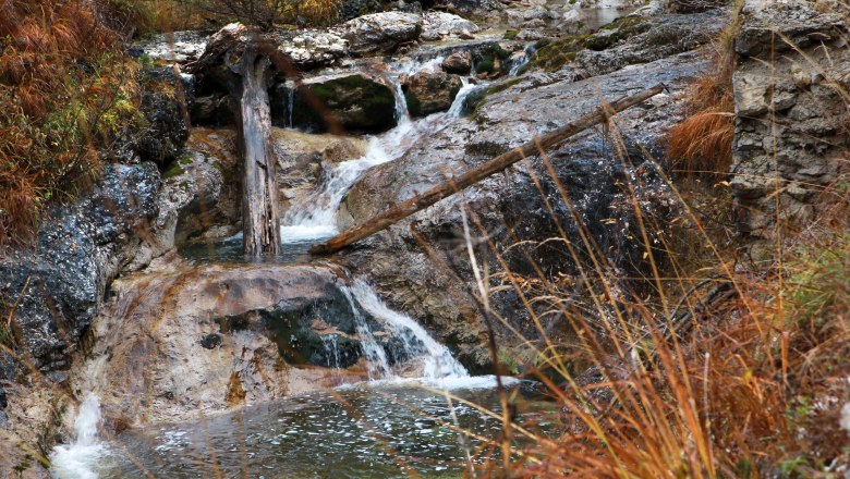 Dürrenstein Wilderness Area, © Mostviertel Tourismus/Weinfranz.at Small waterfall in the Dürrenstein wilderness area with rocks and autumnal vegetation.