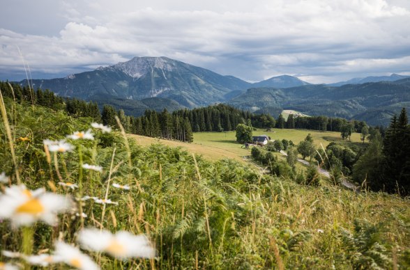 Ötscherblick Hochbärneck, © Fred Lindmoser Ötscherblick Hochbärneck, © Fred Lindmoser
