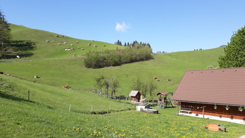 Happy cows on an organic farm, © Andrea Kronsteiner Happy cows on an organic farm, © Andrea Kronsteiner
