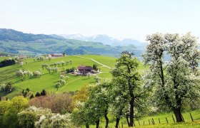 Blick von Ertl auf die Voralpen, © weinfranz.at Blick von Ertl auf die Voralpen, © weinfranz.at